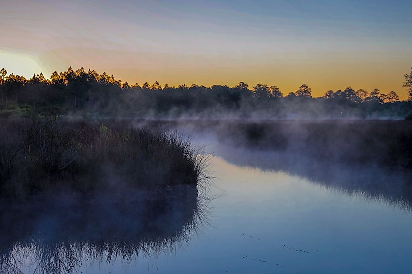 Foggy Mississippi Bayou in the Pascagoula River Basin at sunrise.