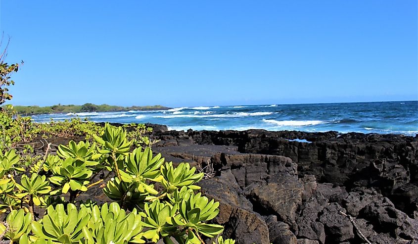 Looking out over the beautiful blue Pacific ocean from the jagged volcanic shores of Hawaii's Whittington Beach Park