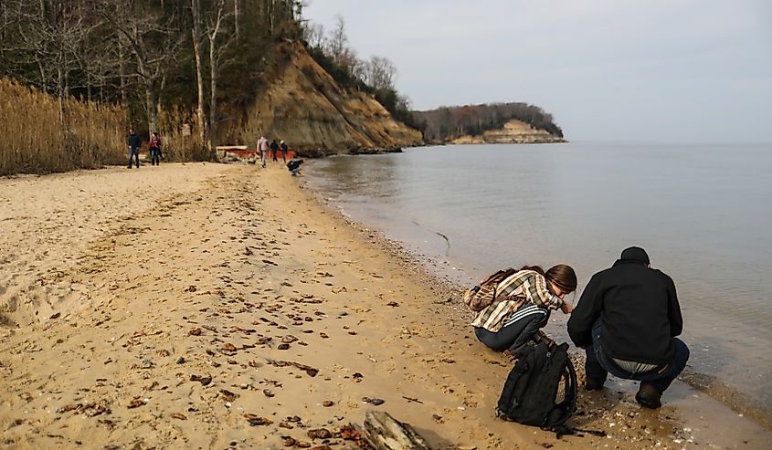 Calvert Cliffs beach attracts visitors searching for fossils from the prehistoric Miocene era, near Lusby, Maryland.