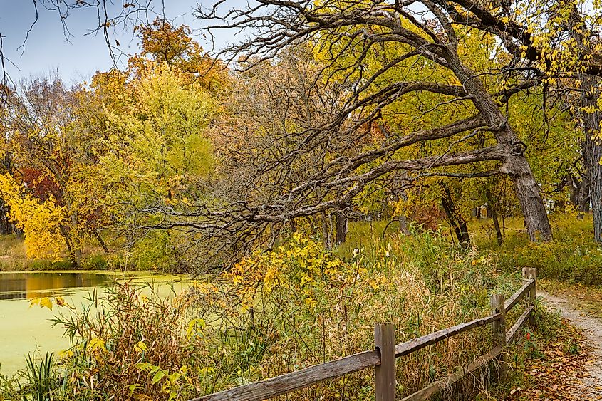 Fall colors at Crabtree Nature Center in Barrington, Illinois.