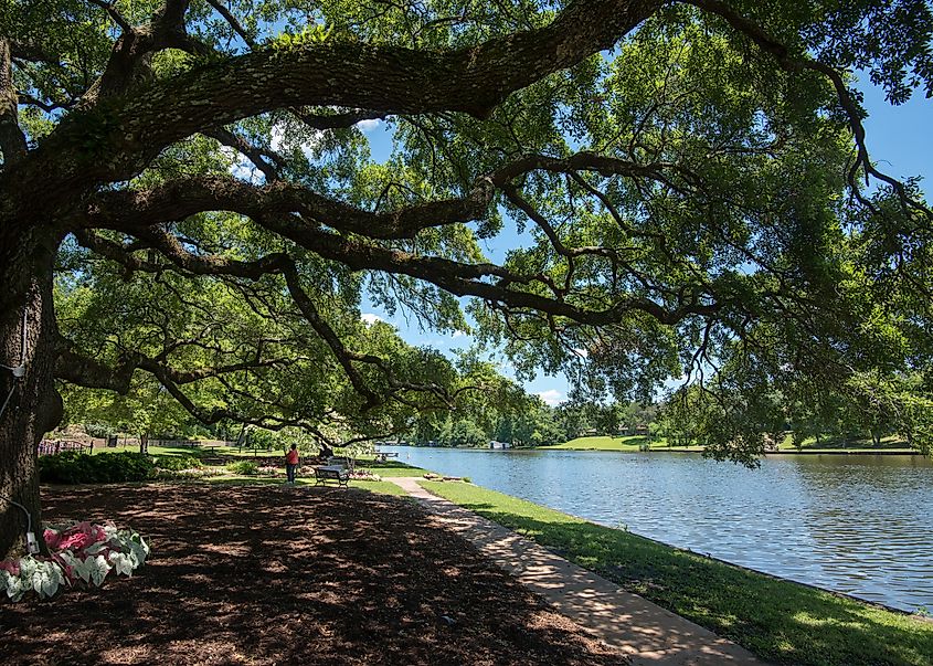 A beautiful park in Natchitoches, Louisiana