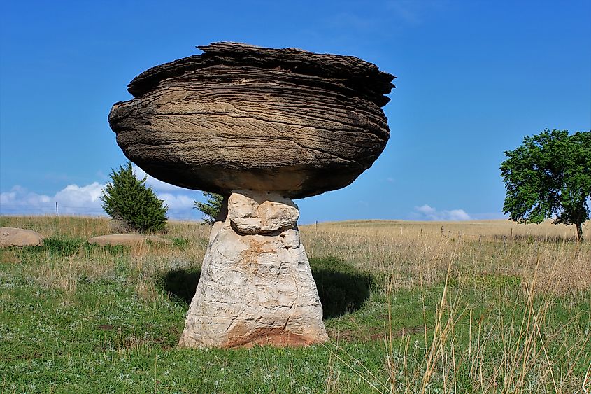 A shot of Mushroom State Park of one of the Mushroom Rocks.