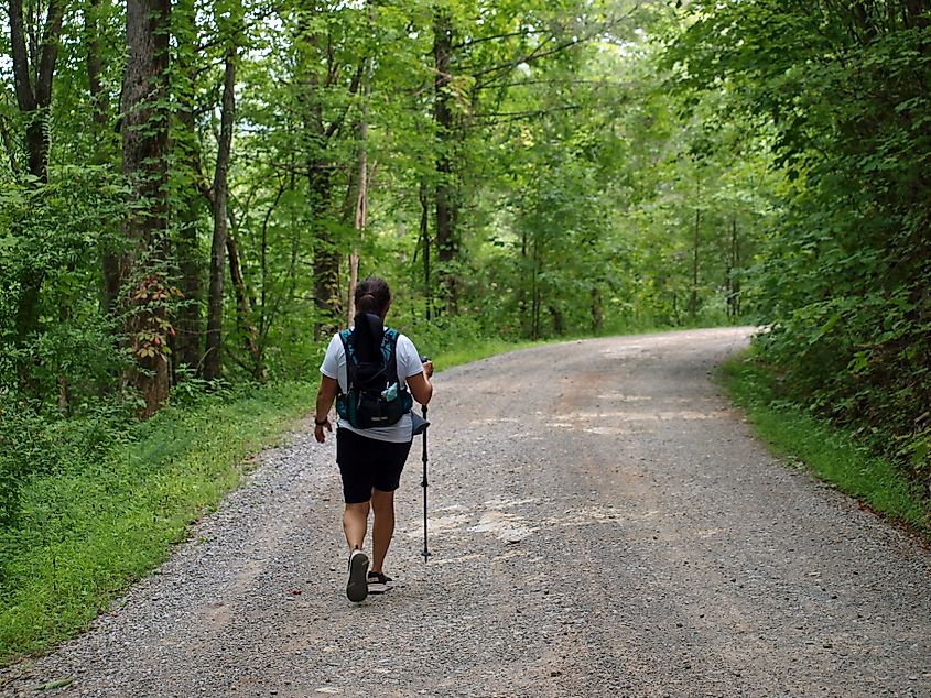 A female hiker walking along Indian Boundary Road in the Citico Creek area of Cherokee National Forest, Tennessee