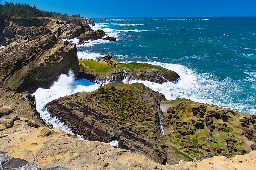 Cape Arago State Park, Coos County, Oregon, USA.