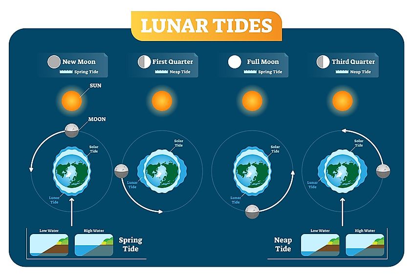 Tides WorldAtlas