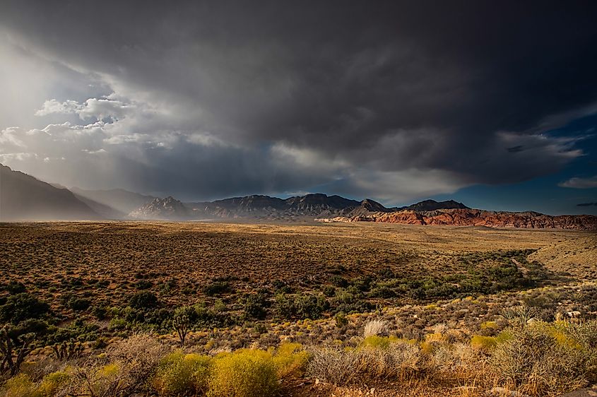 Red Rock Canyon just after a brief storm.