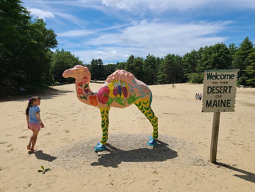 A camel statue in the Desert of Maine.