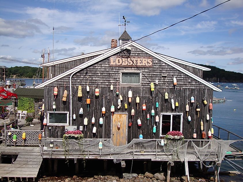 Lobster buoys in Bar Harbor, Maine