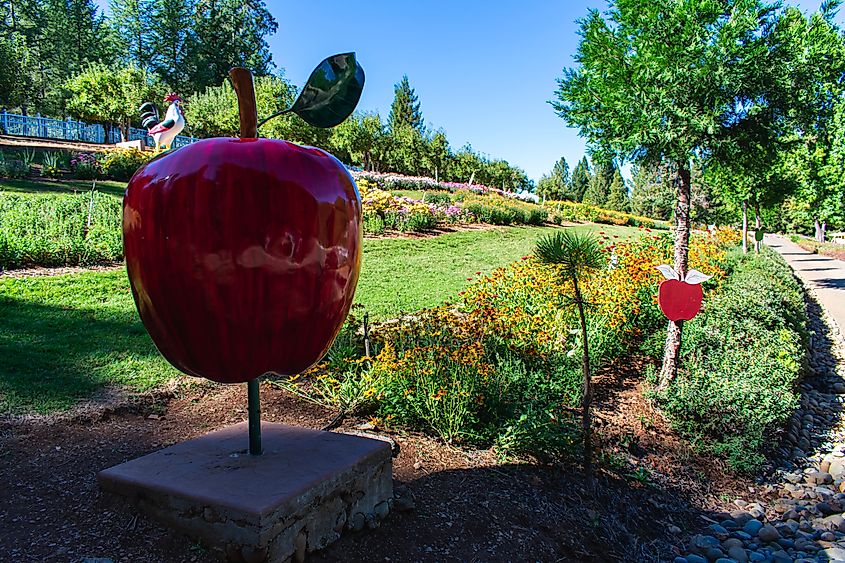 Apple Hill in Placerville, California