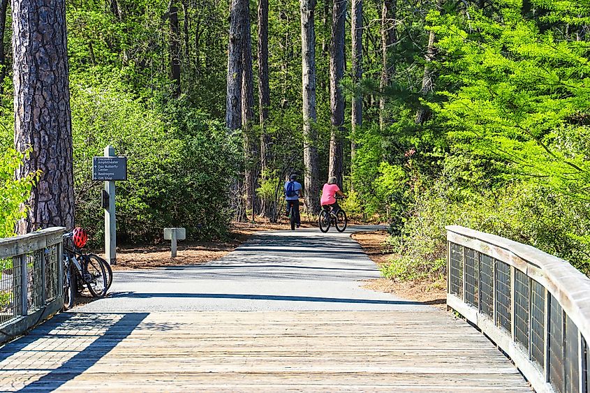 Cyclists exploring nature in Pine Mountain, Georgia