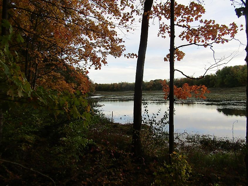 Autumnal photography taken near North Webster.