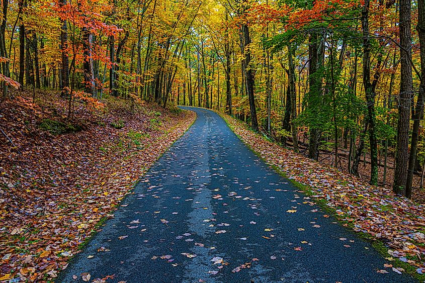 Fall foliage lining the road in Pipestem Resort State Park, West Virginia.