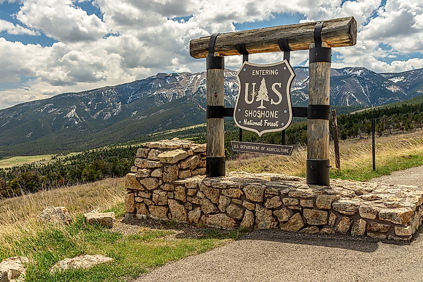 Shoshone National Forest Sign at a roadside pullout along the Chief Joseph Scenic Highway near Cody, Wyoming.