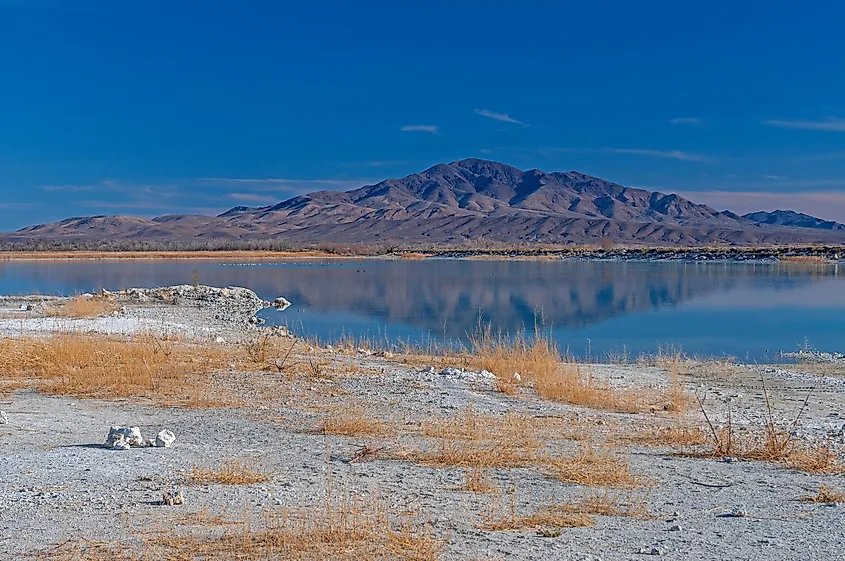 Ash Meadows National Wildlife Refuge in Nye County, Nevada.