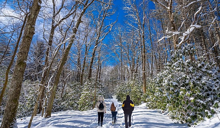 Moses Cone Memorial Park, Blowing Rock, just off Blue Ridge Parkway,