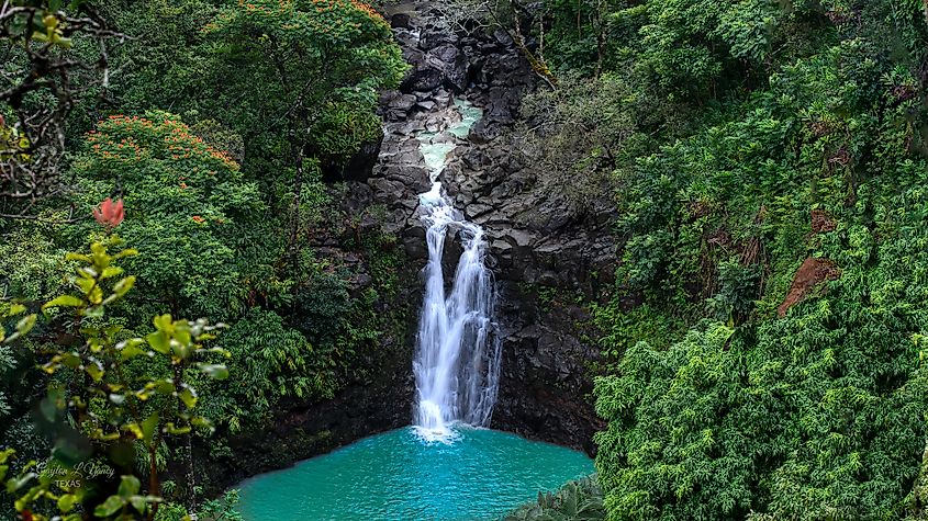 Puohokamoa Falls.