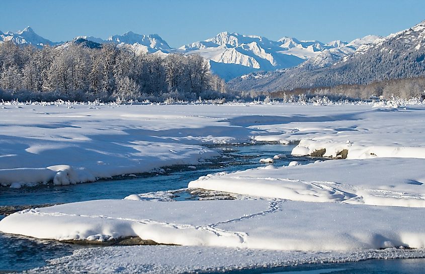 Winter landscape along the Chilkat River in Alaska, USA.