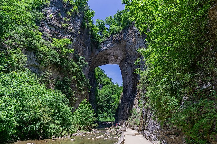 The Natural Land Bridge in Virginia.