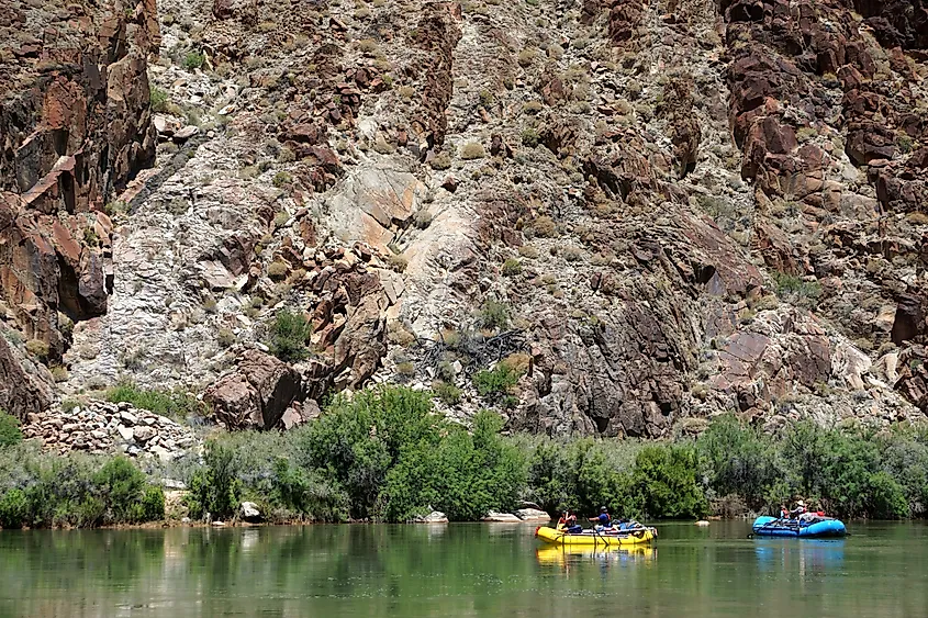 Rafters on the Colorado River in Peach Springs, AZ