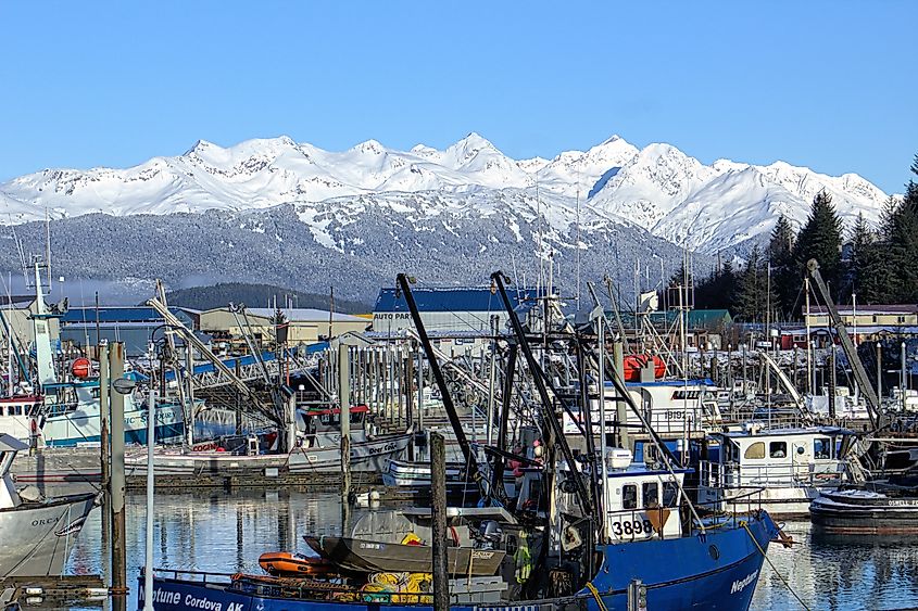 Boats docked along the harbor in Cordova, Alaska.