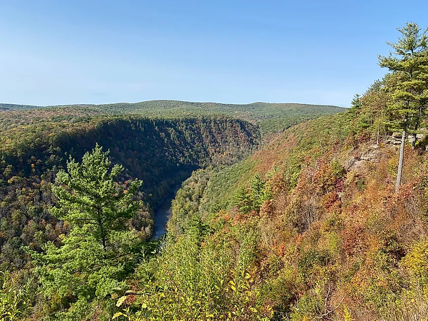 Colton Point State Park in Pennsylvania