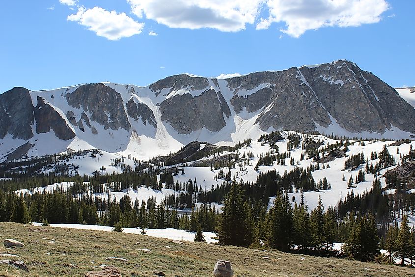 View from the Snowy Range Scenic Byway.