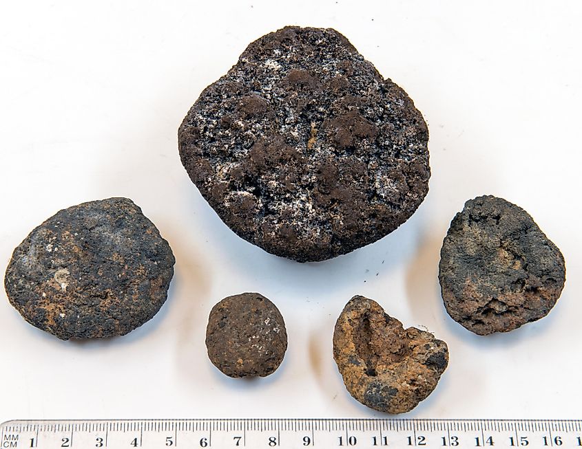 Manganese nodules from the Baltic Sea’s Kiel Bight, showing rounded mineral formations rich in metals