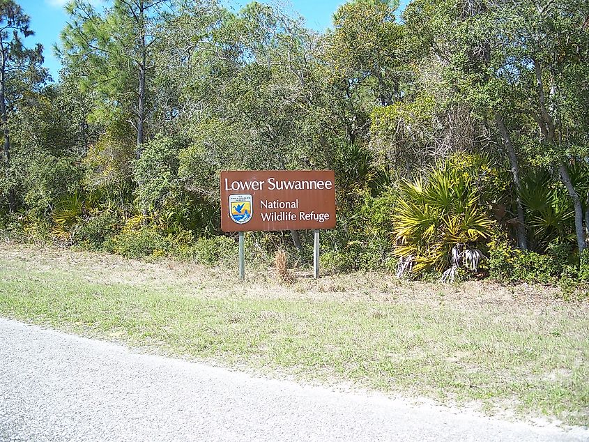 Lower Suwannee National Wildlife Refuge