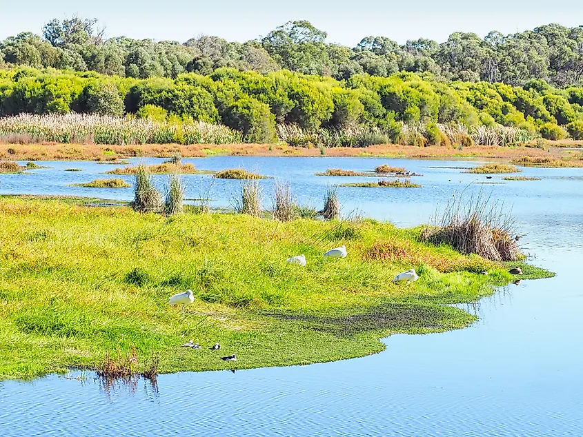 Yanchep National Park's Loch McNess.