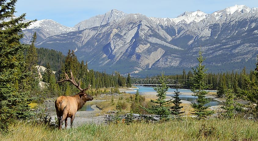 These World Heritage Sites Show The Best Of The Canadian Rockies ...