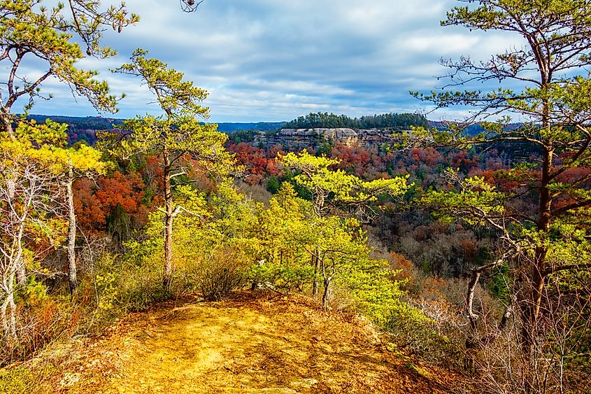 Scenic view of Ravens Rock from the Auxier Ridge Trail in Red River Gorge, Kentucky