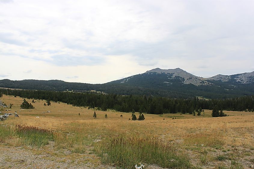 Bighorn National Forest, Wyoming