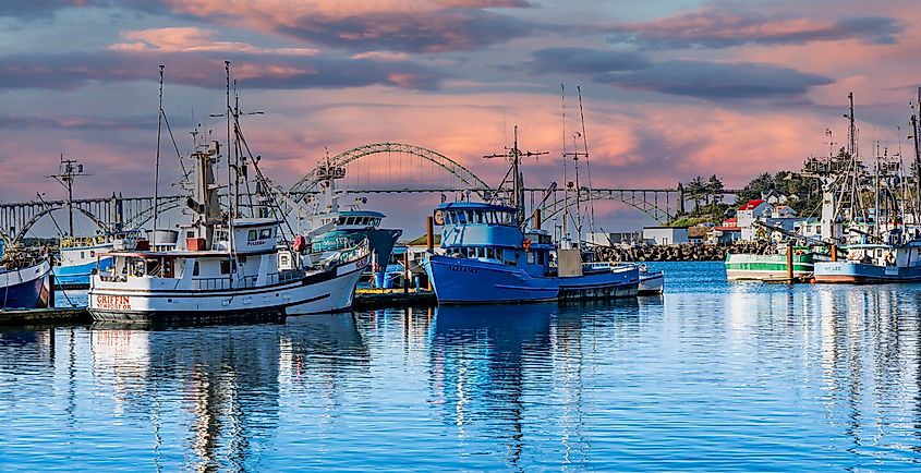 Sunset in harbor at Newport Oregon Editorial credit: Bob Pool / Shutterstock.com