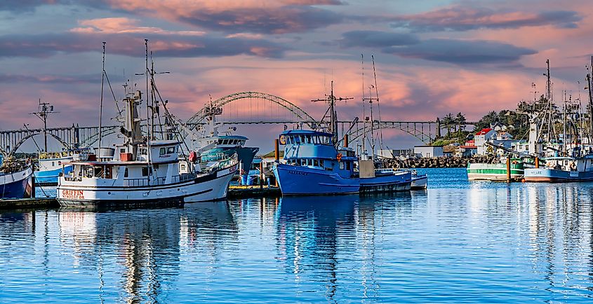 Sunset in the harbor at Newport, Oregon 