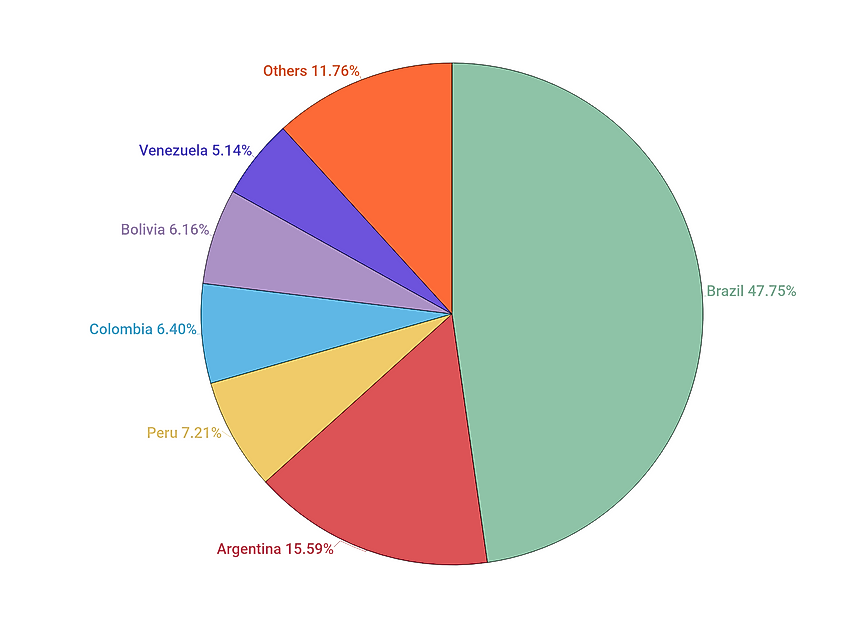 The Largest Countries In South America WorldAtlas