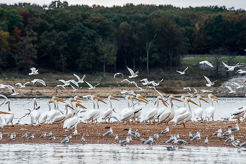 Mark Twain State Park near Perry, Missouri.