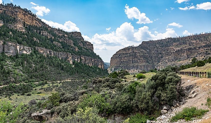 Black Hills National Forest in South Dakota.