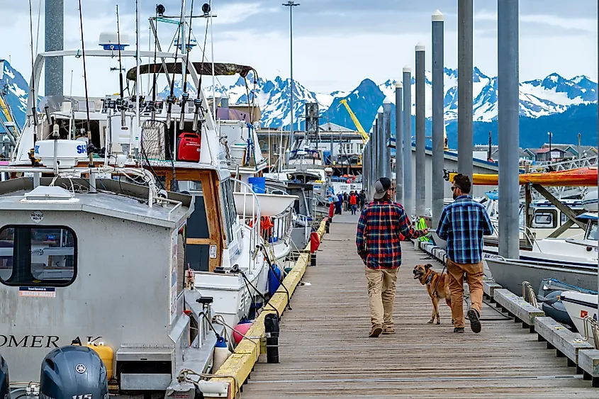 The harbor in Homer, Alaska.