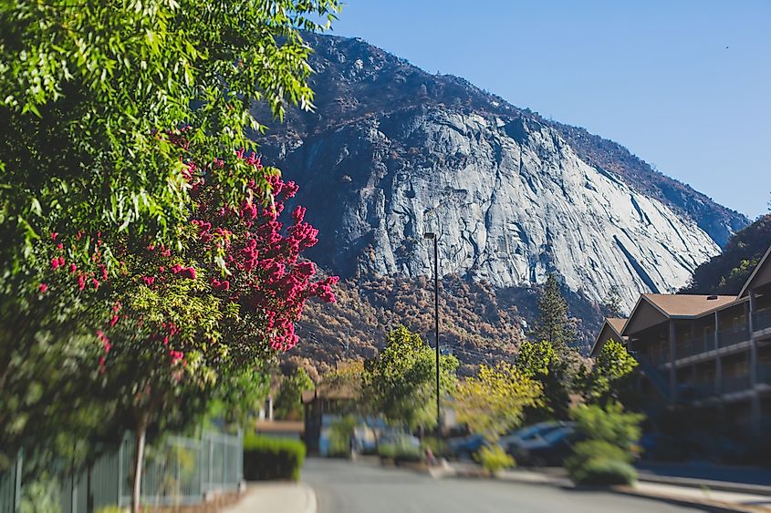 The beautiful town of El Portal, California