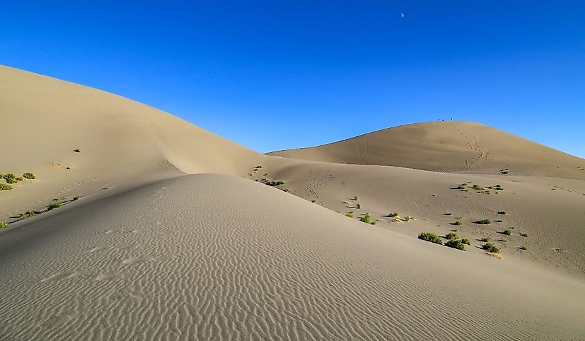 Idaho Sand Dunes at Bruneau State Park