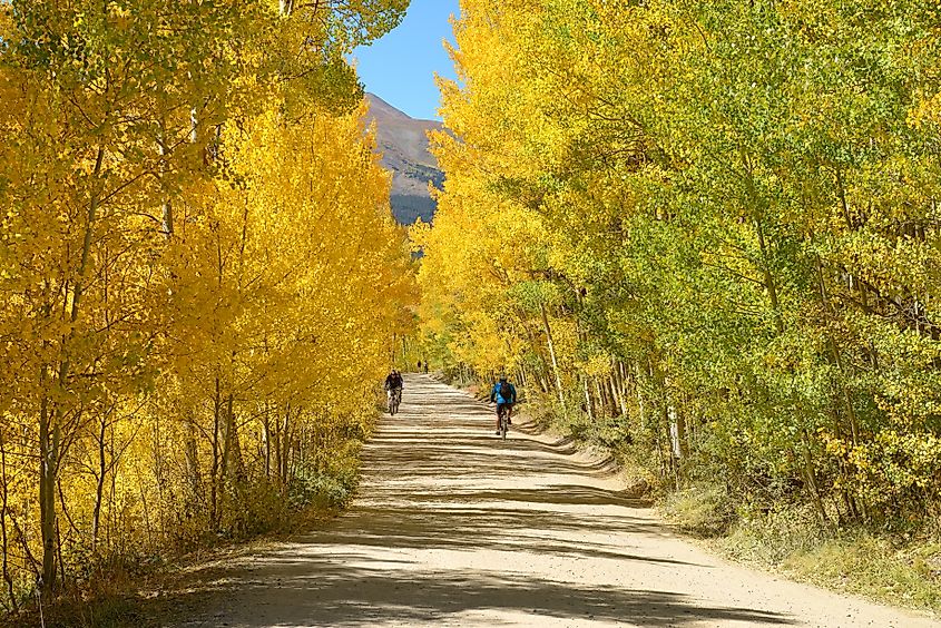 Mountain bikers in Breckenridge, Colorado.