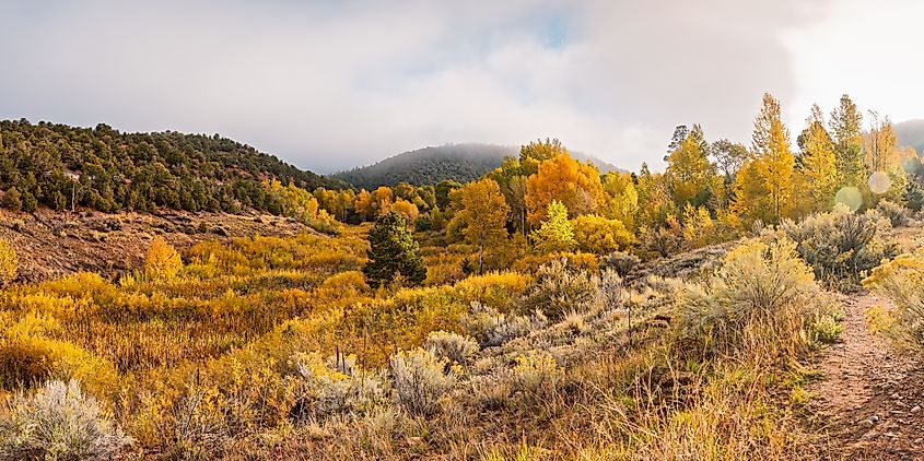 Fall Panorama Of Aspens And Cottonwoods At Twomile Reservoir Dale Ball Trails - Santa Fe, New Mexico.