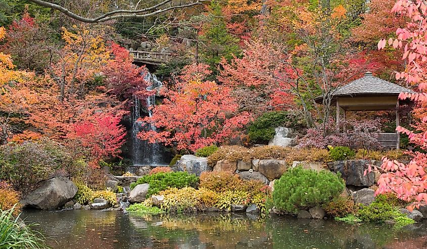 Anderson Japanese Gardens, Rockford, Illinois.