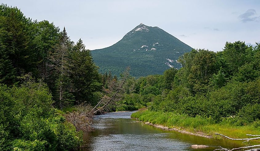 Pond trail in Baxter State Park, with mountain in the background, near Millinocket