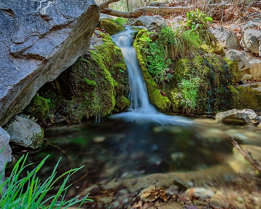 A mountain waterfall creates a verdant grotto in Ramsey Canyon near Sierra Vista, Arizona.