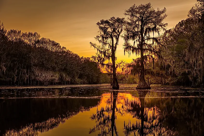 Caddo Lake, Texas