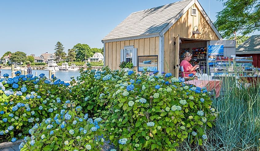 Artist Shanty during summer in Hyannis, MA.