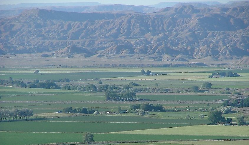 Overlooking Powell, Wyoming summer.