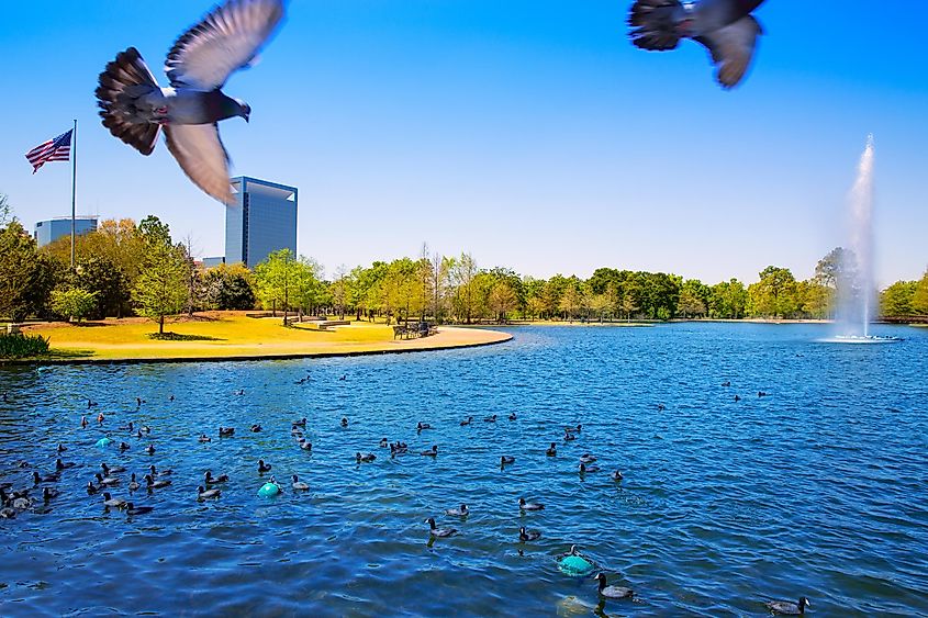 McGovern Lake in Houston, Texas.