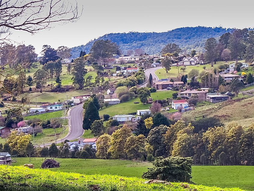View over Branxholm looking towards the east.